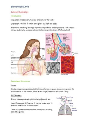 External Respiration notes 2013