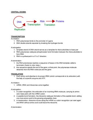Transcription and translation