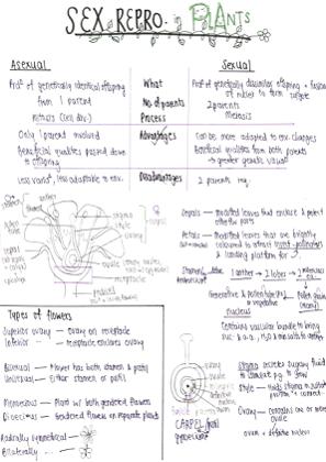 Sexual Reproduction in Plants
