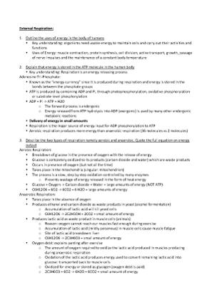 External Respiration FINAL