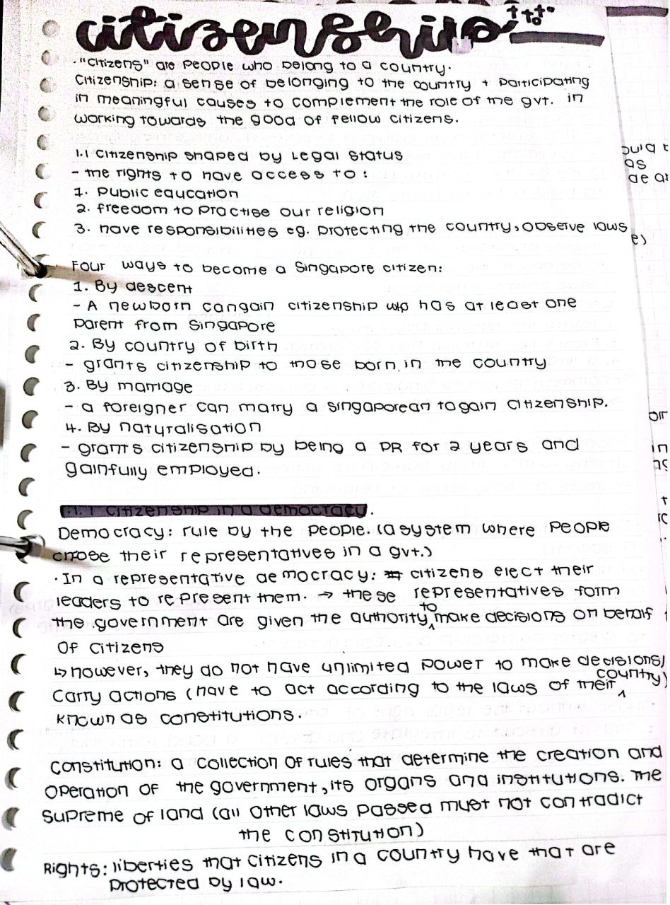 Smartguppy social studies citizenship notes