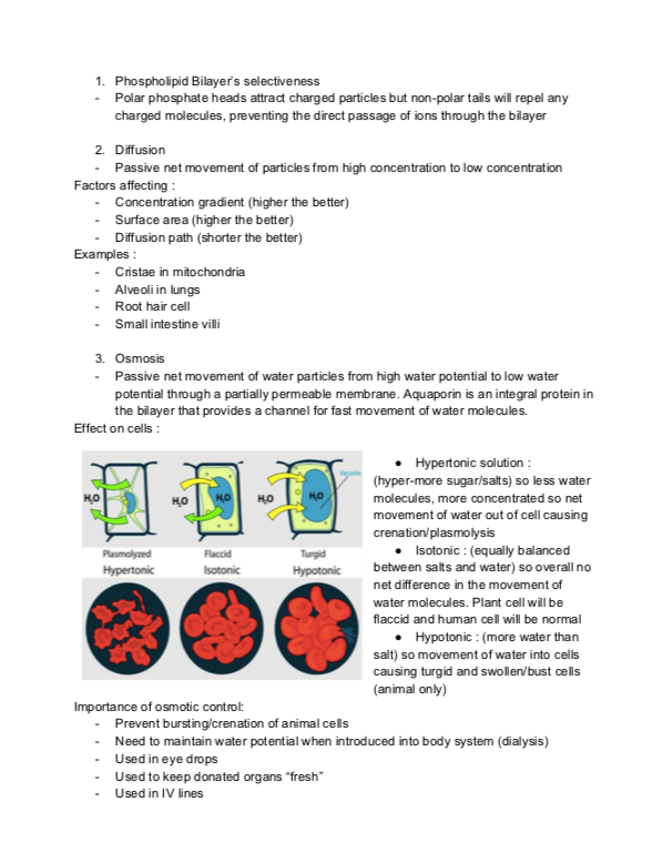 1.4 Membrane Transport