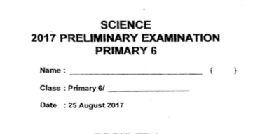 P6 Science SA2 2017 Red Swastika Exam Papers