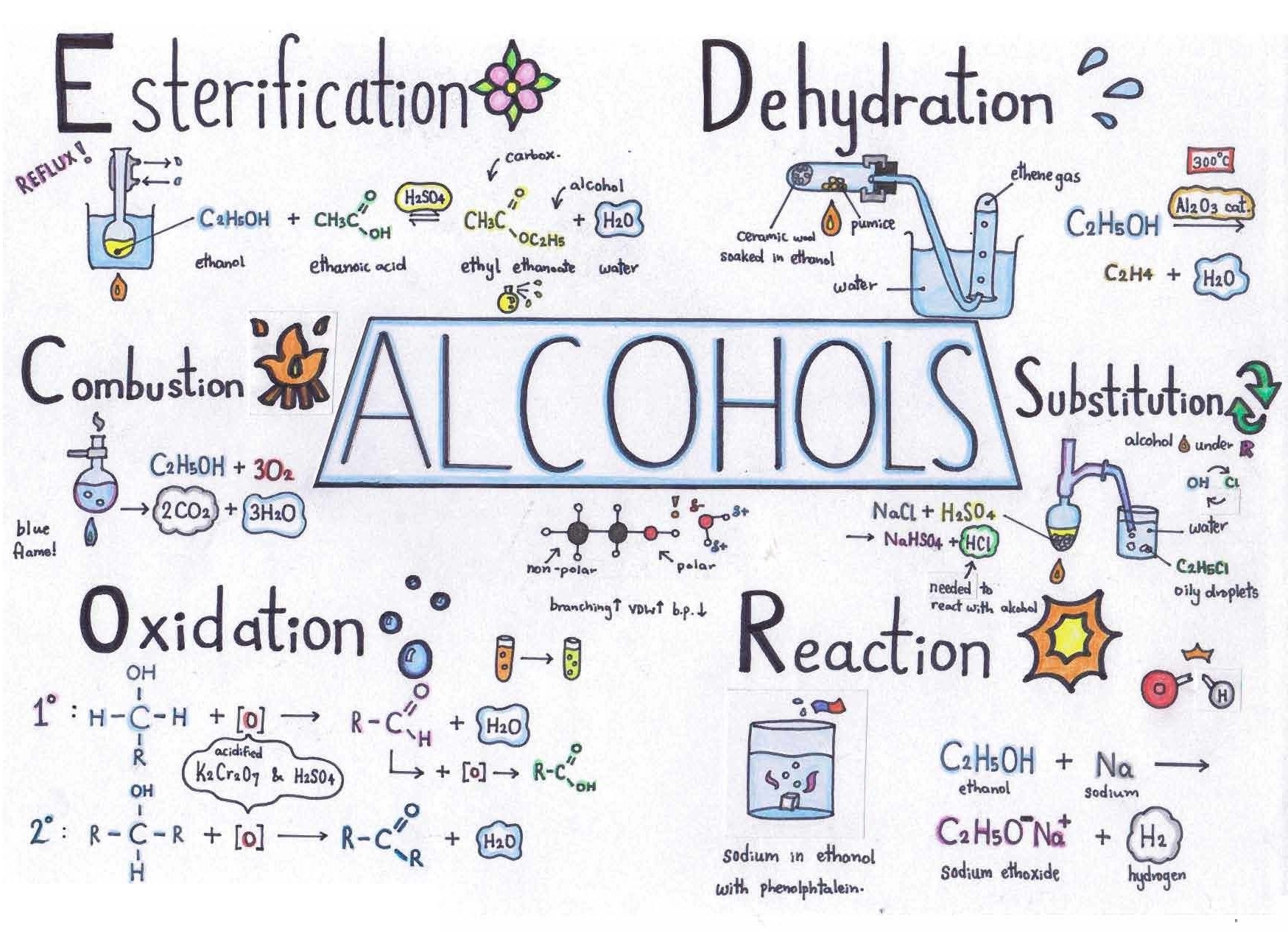 Alcohols (Chemistry)