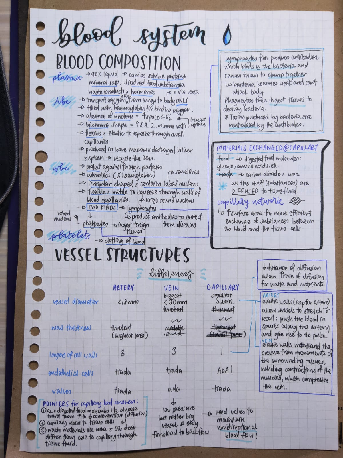 y2 biology notes