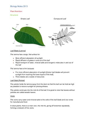 Plant Nutrition Notes Biology 2013