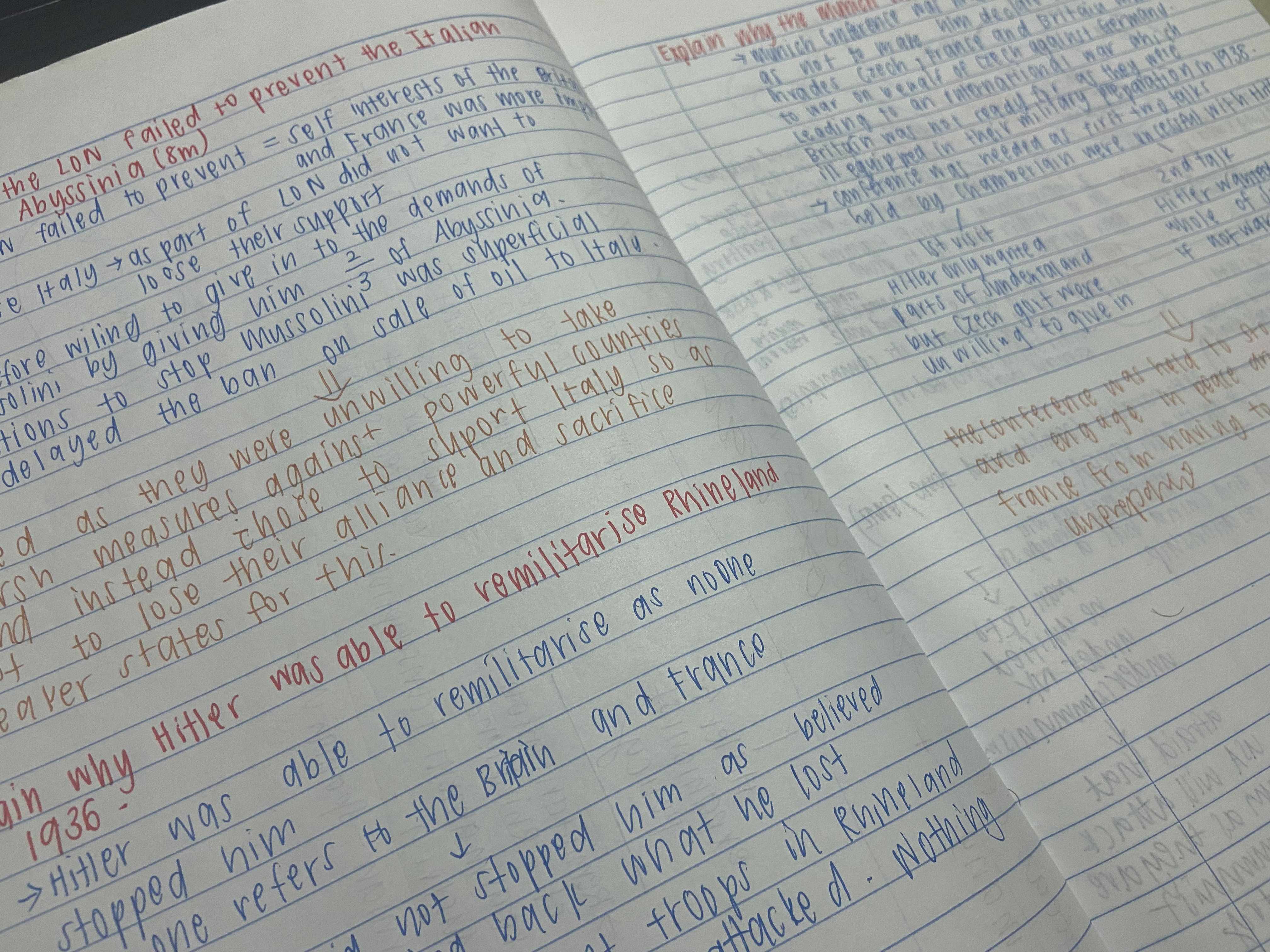 history essay paragraph with questions!