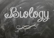 Notes for cell division