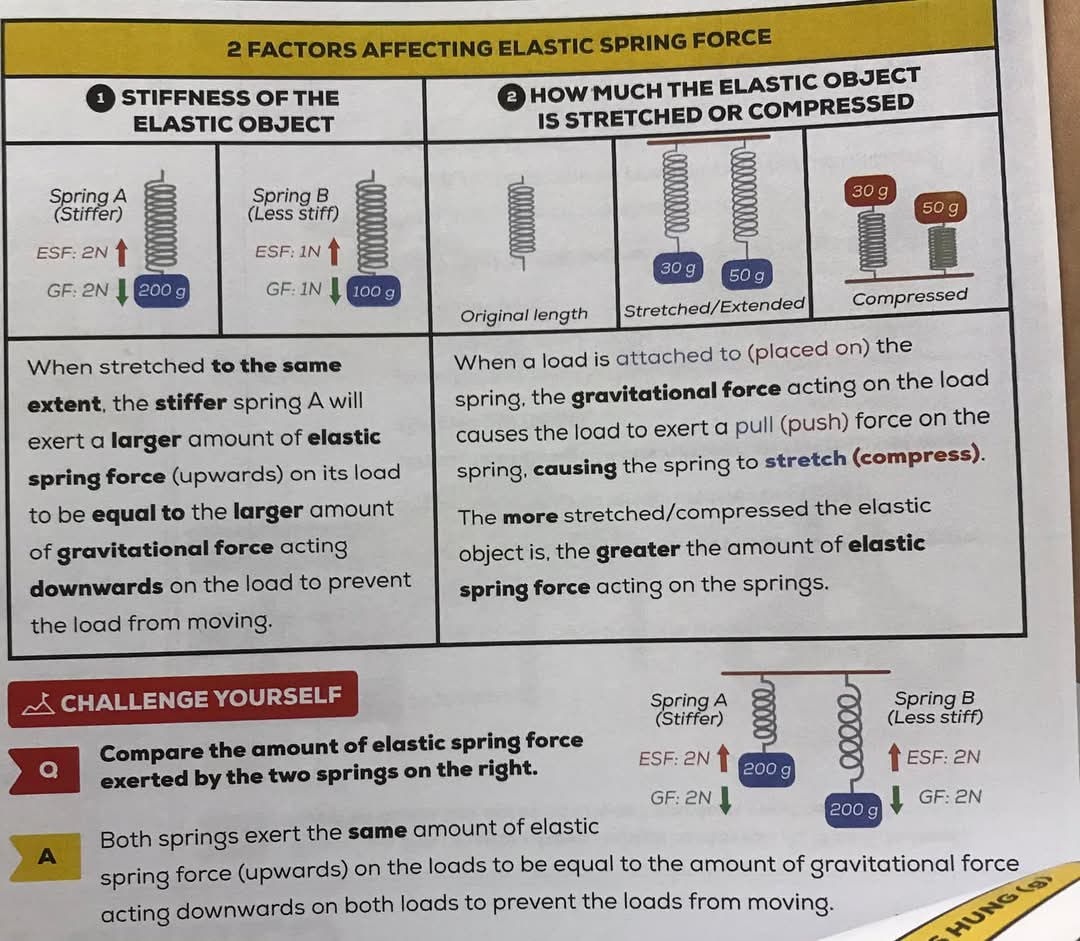 Factors affecting Elastic spring force