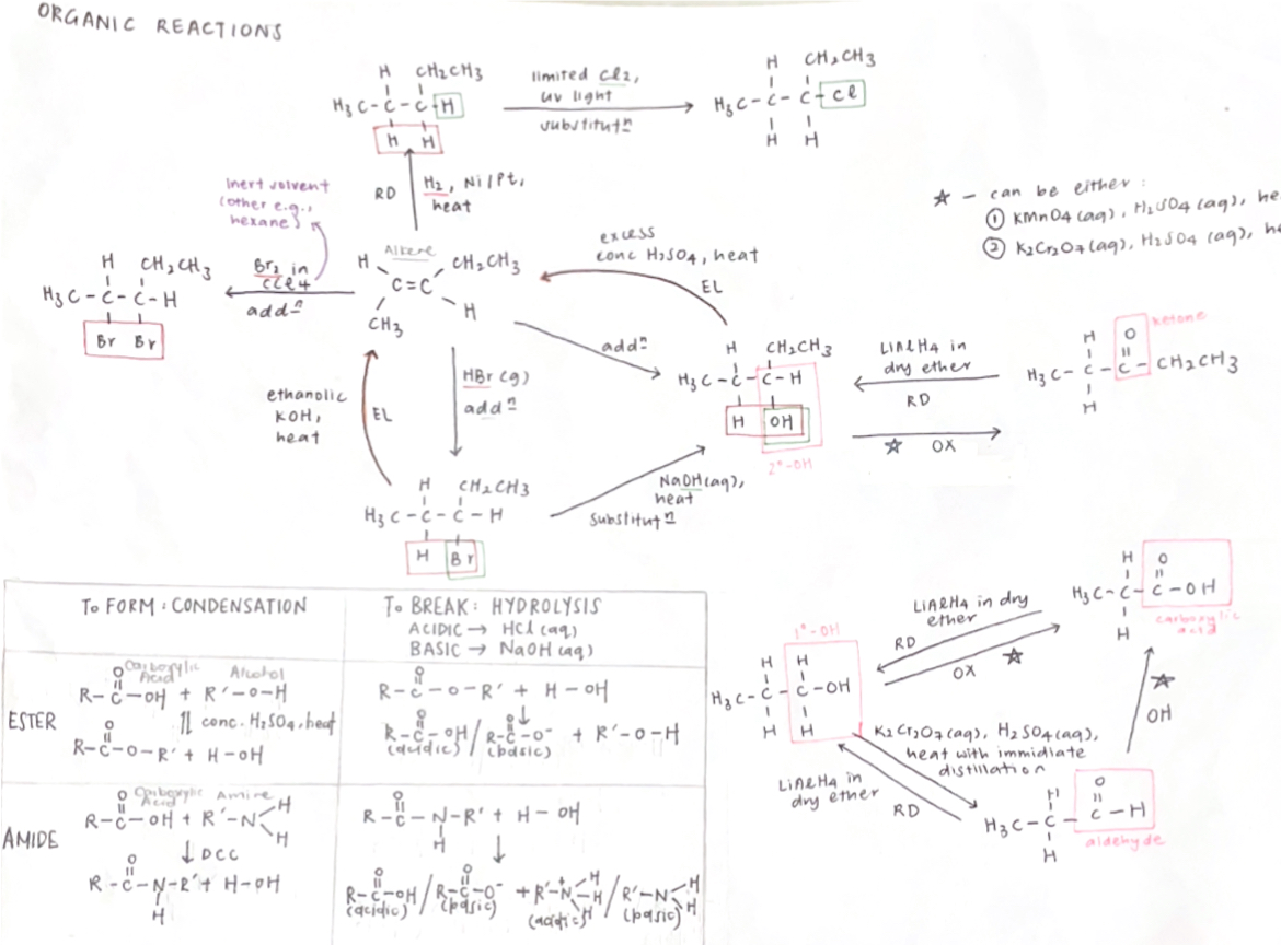 Organic Reactions Mindmap